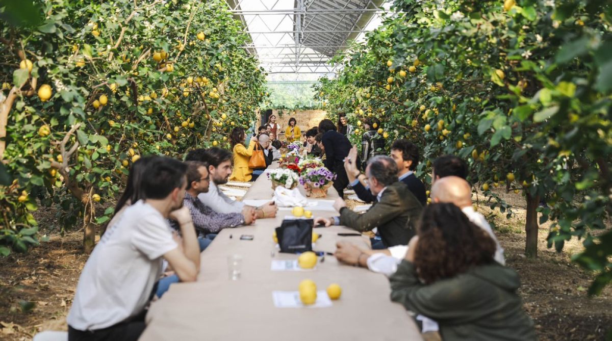 Nasce “Coltivare futuro”: il docuweb che racconta l’agrivoltaico come modello di valore condiviso per i territori