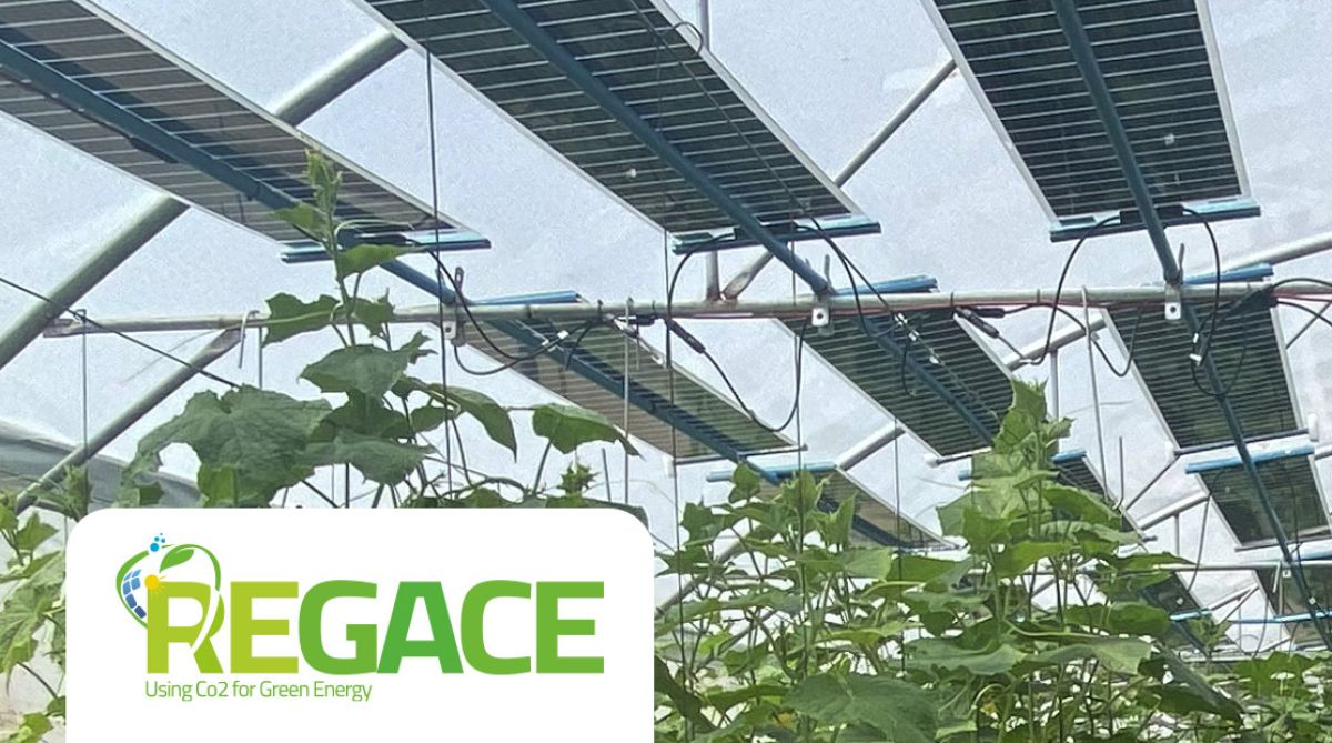 Webinar REGACE Project – Final Conference
